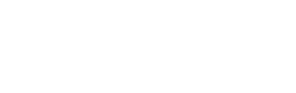 George Airport Logo